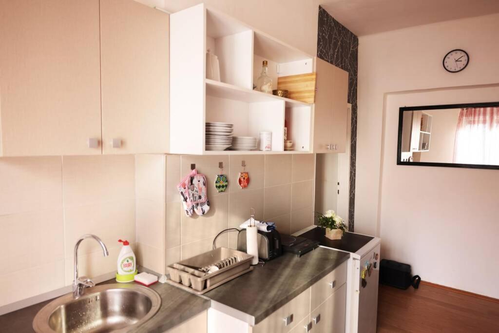 Ni Viki Apartment Centar מראה חיצוני תמונה