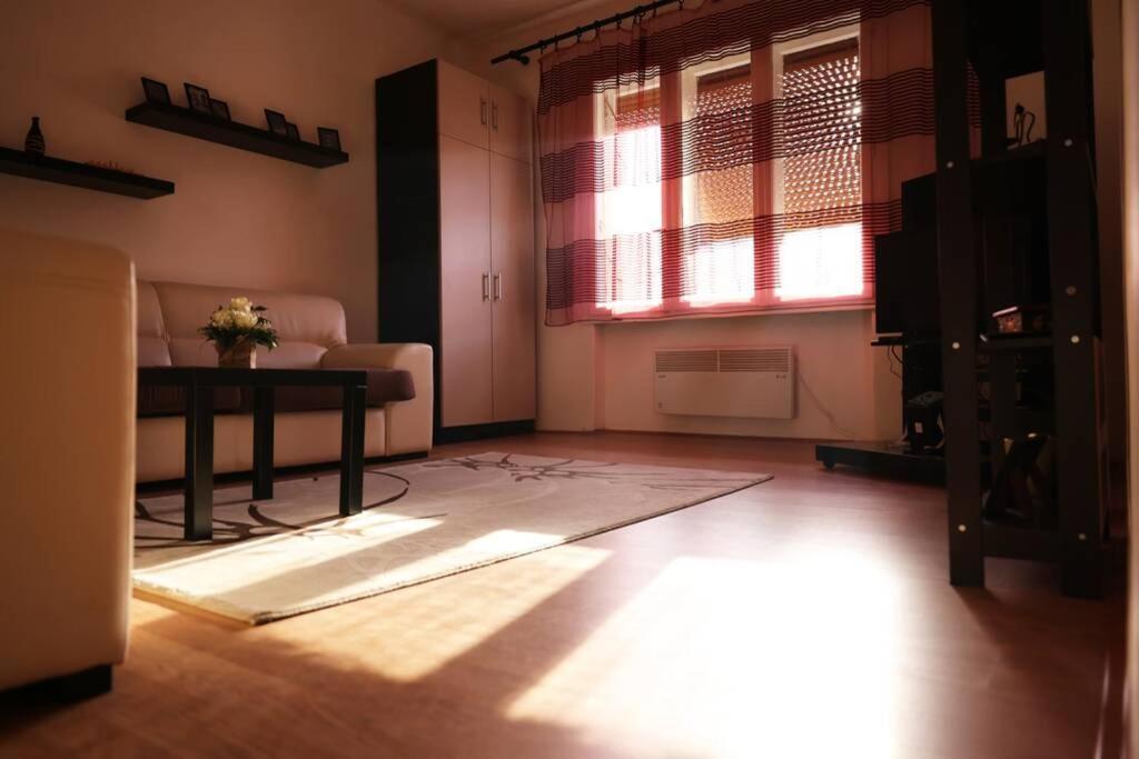 Ni Viki Apartment Centar מראה חיצוני תמונה
