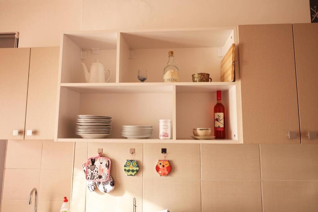 Ni Viki Apartment Centar מראה חיצוני תמונה